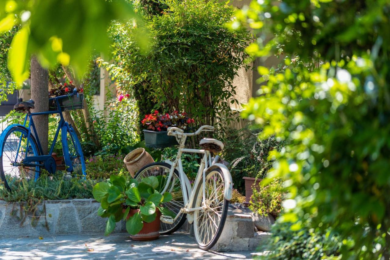 Villa Mery Casale Monferrato Dış mekan fotoğraf